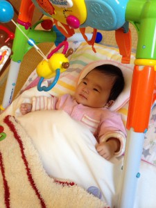 春日市星見ヶ丘　自宅　スーちゃん　遊ぶ