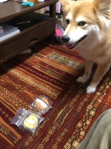 ペコ　誕生日プレゼント　♡