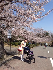 春日市　白水大池公園　嫁とすみれ♡