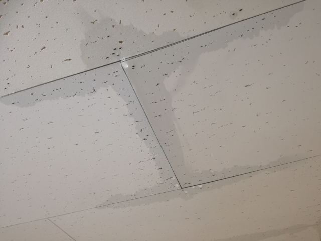 写真：雨漏りしている天井