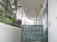 天井施工　ノキフレッシュ下塗り施工完了