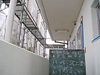 天井施工　ノキフレッシュ上塗り施工完了