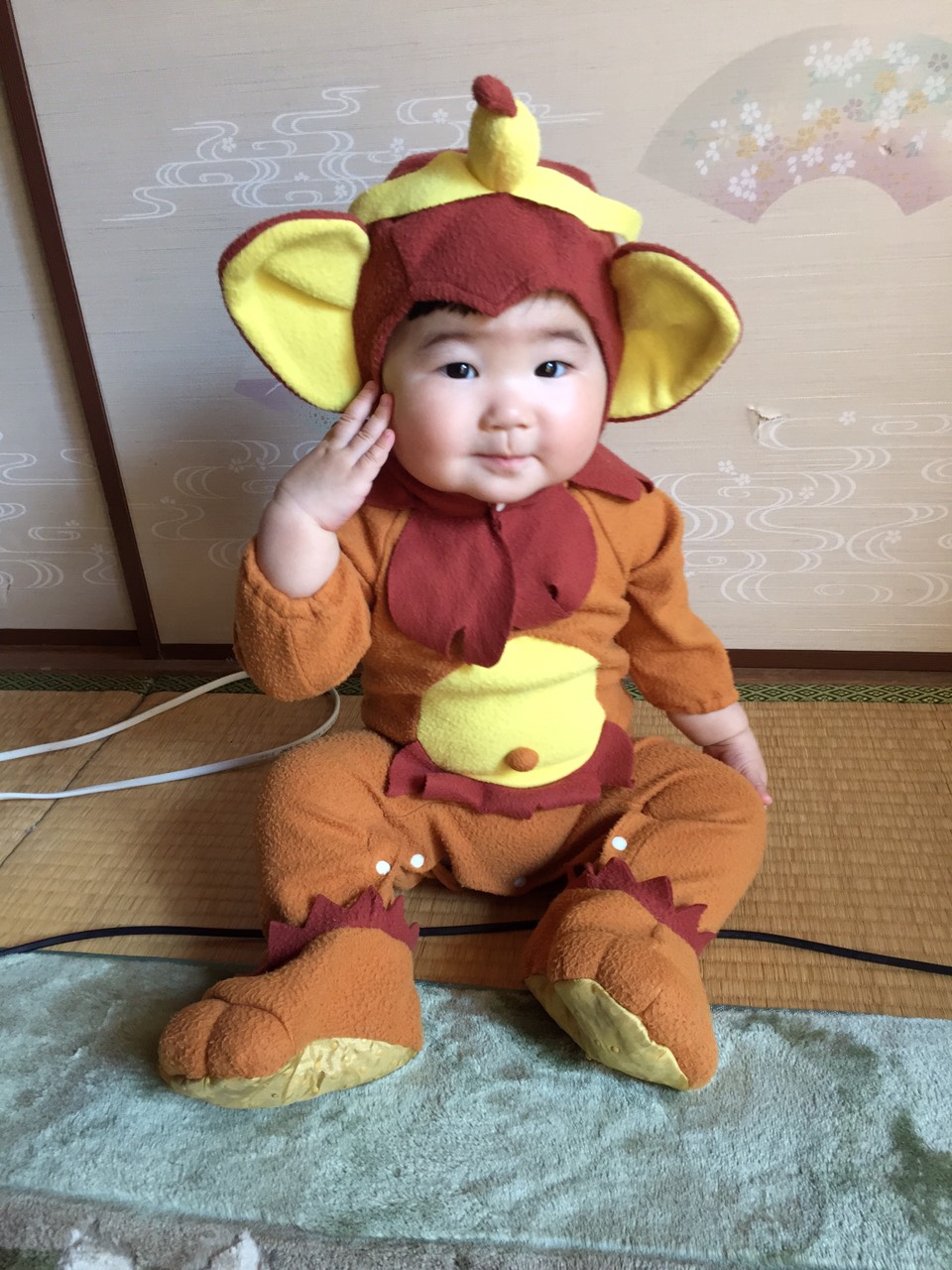 着ぐるみ バイト 福岡 イメージポケモンコレクション